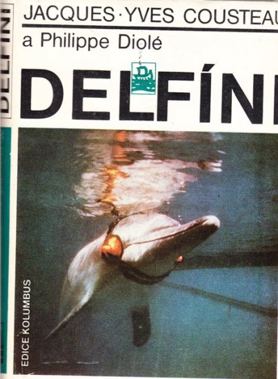 Delfíni - Kliknutím na obrázek zavřete